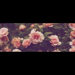 Meet your Posher, Catia